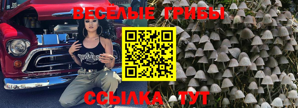 Ипатово  Галлюциногенные грибы Psilocybe  Вход с VPN 